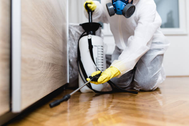 Best Pest Inspection Near Me  in Yerington, NV
