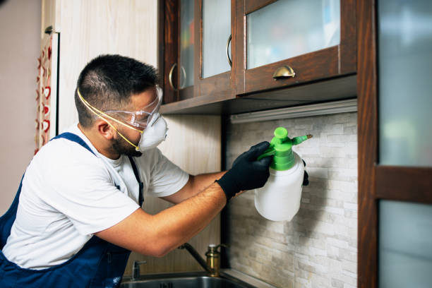 Yerington, NV Pest Control Company