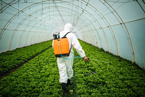 Best Ant Control Services  in Yerington, NV