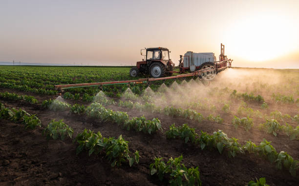 Best Pest Control Near Me in Yerington, NV