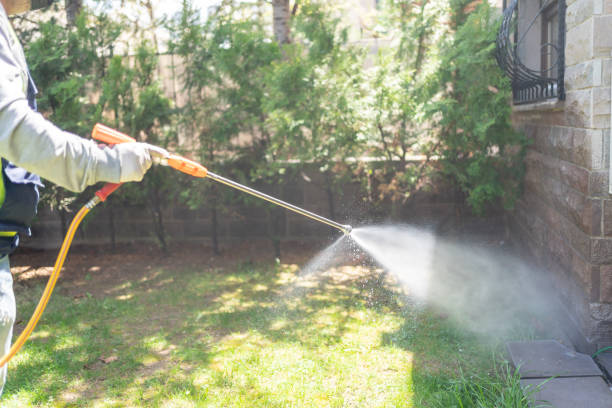 Trusted Yerington, NV Pest Control Experts