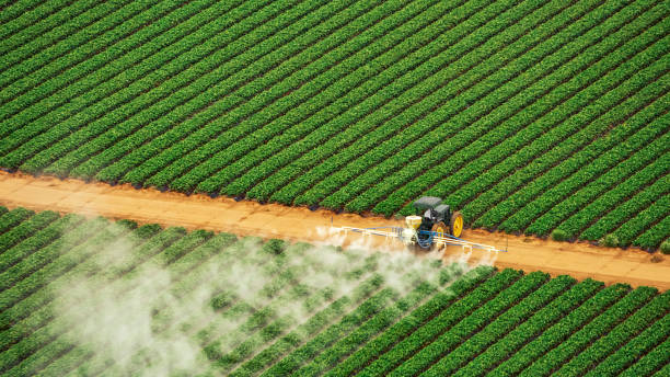 Best Pest Removal Services  in Yerington, NV