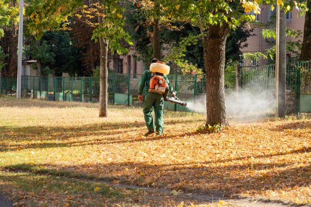 Pest Control Cost in Yerington, NV