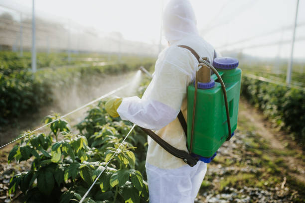 Best Mosquito Control Services  in Yerington, NV